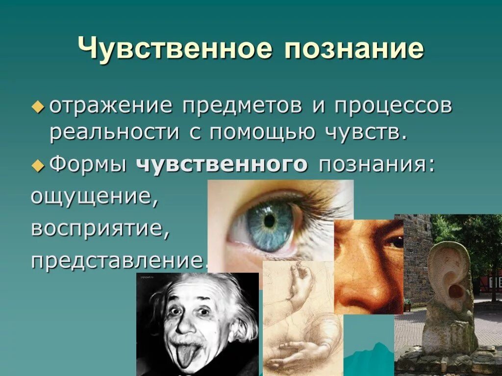 Чувственное познание. Чувственное познание в философии. 1. Чувственное познание. Познание чувственное познание философия.