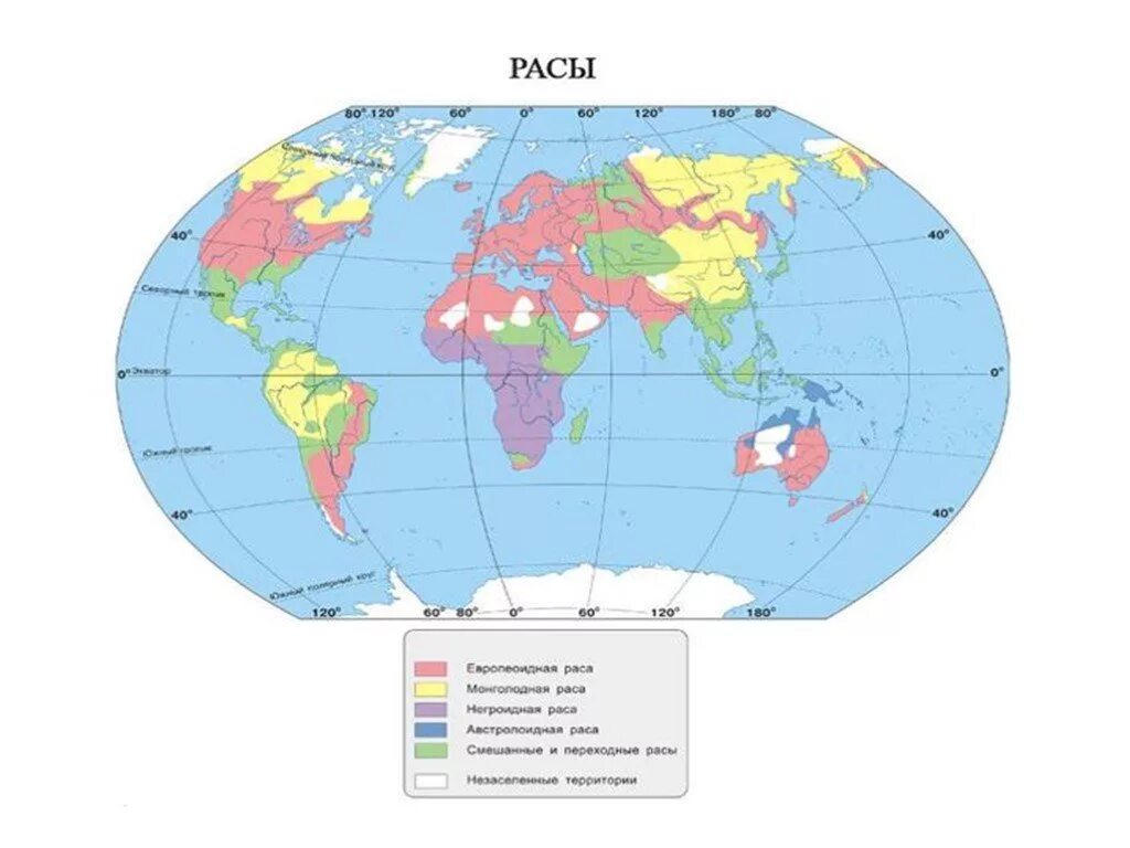 Ареалы распространения человеческих рас. Карта человеческих рас. Карта распространения рас. Основные расы карта.