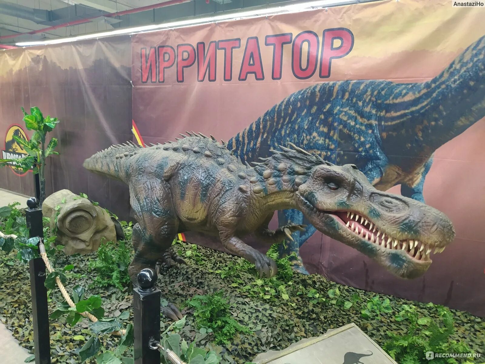 Выставка динозавров. Разные динозавры. Динозавры в Липецке. Выставка динозавров Липецк. Выставка динозавров пермь колизей