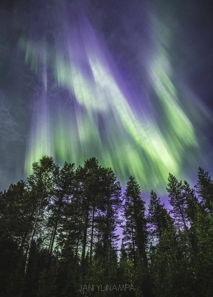 C aurora