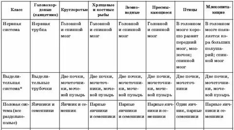 Таблица типы развития млекопитающих Презентация "Размножение и развитие млекопитающих" (6 класс) по биологии скача