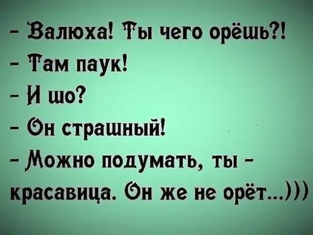 Там закричать. Ты чего орешь там паук. Ты чего орешь. Че ты орешь.