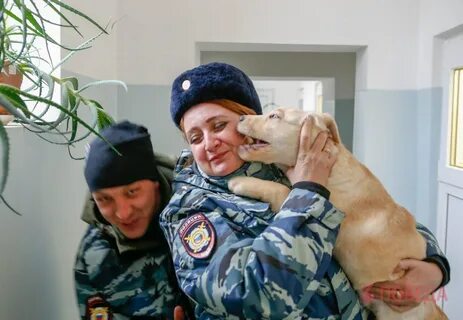 Кинолог самара