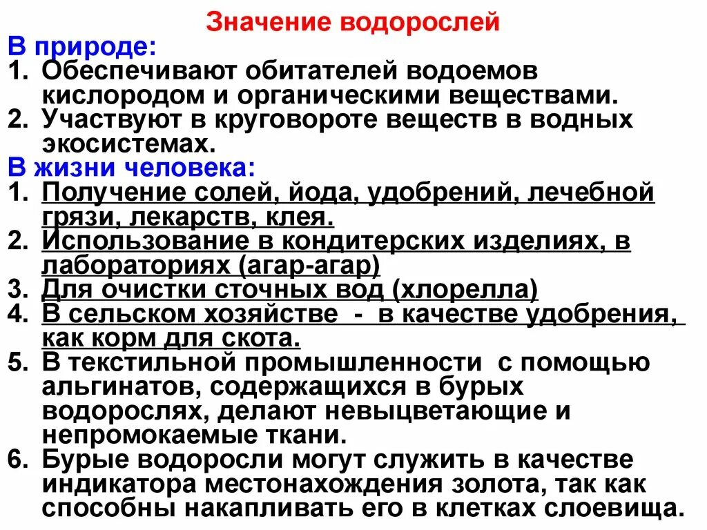 Значение растений водорослей. Водоросли их роль в природе и жизни человека. Значение водорослей в природе. Значение водорослей в природе и жизни человека. Значение водорослей в жизни человека.