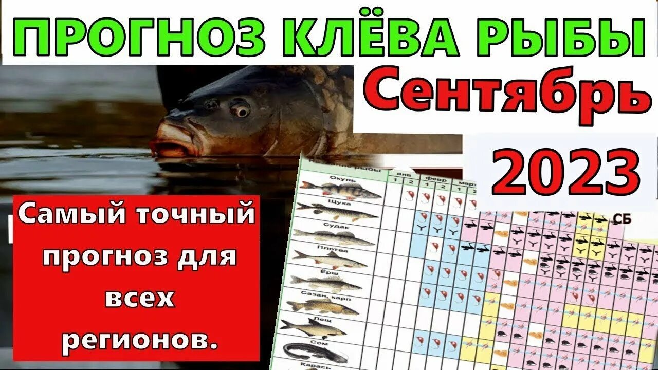 Лунный календарь клева рыбы на весь новый 2021 год. Забирайте на стену!) 2020 Вл