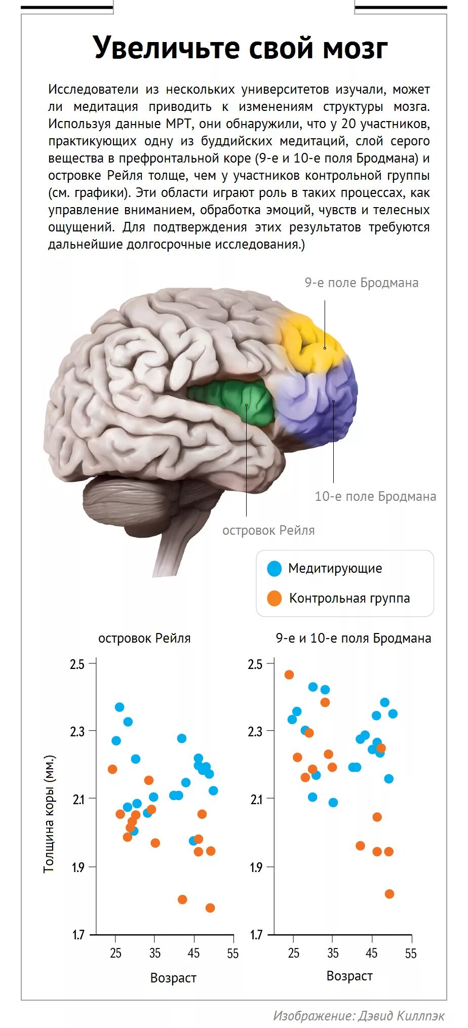 Изучают ли мозг. Влияние медитации на мозг человека исследования. Состояние мозга в медитации. Медитация влияет а мозг. Научные исследования мозга.