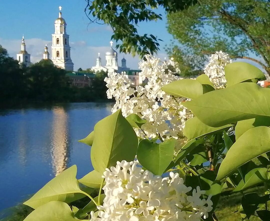 Дивно. Фото Дивеево в сирени.