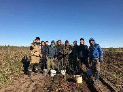 Погода усть погожье волгоградская область дубовский
