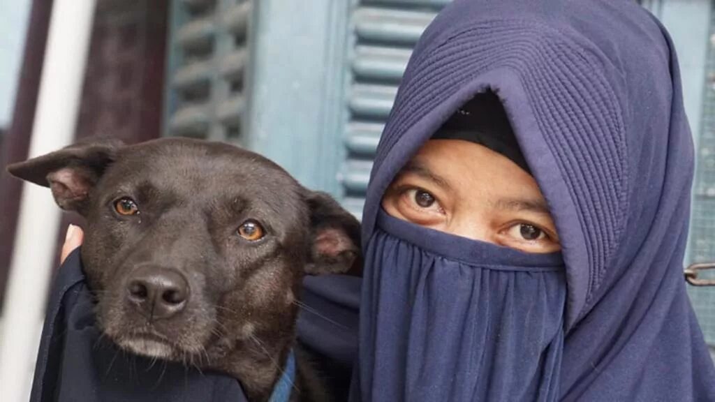Мусульманские животные. Собака мусульманин. Мусульманские породы собак. Животные в Исламе.
