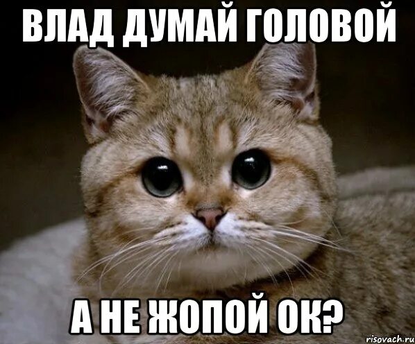 Подпись была, но её украли гномы.