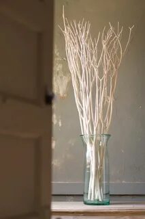 Белые ветки для декора