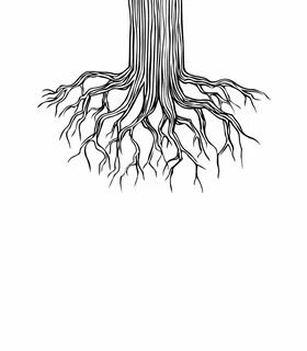 Image root