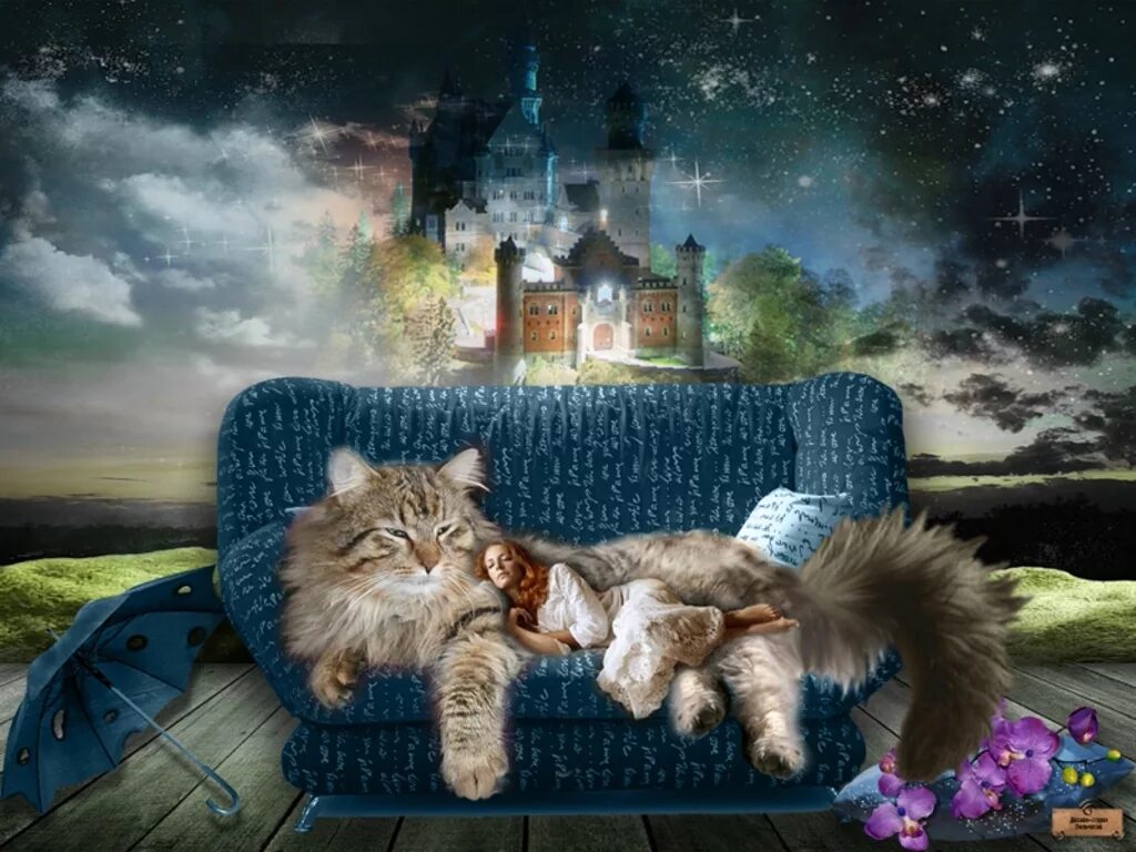 Тихой красивой ночи. Сказочный сон. Сказочных сновидений. Чудесных снов. Доброй ночи котик.