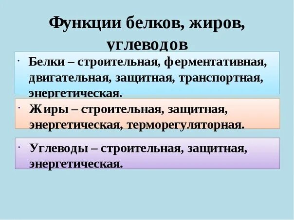 Общие функции белков жиров и углеводов. Белки жиры и углеводы функции в организме человека. функции белков жиров и углеводов в организме человека. функции белков жиров и углеводов таблица. функция и роль белков жиров и углеводов.