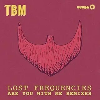 Don t leave me lost frequencies