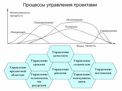 Дисциплин управления проектом курсовая