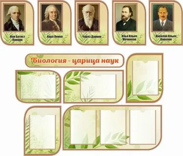 Оформление биологии
