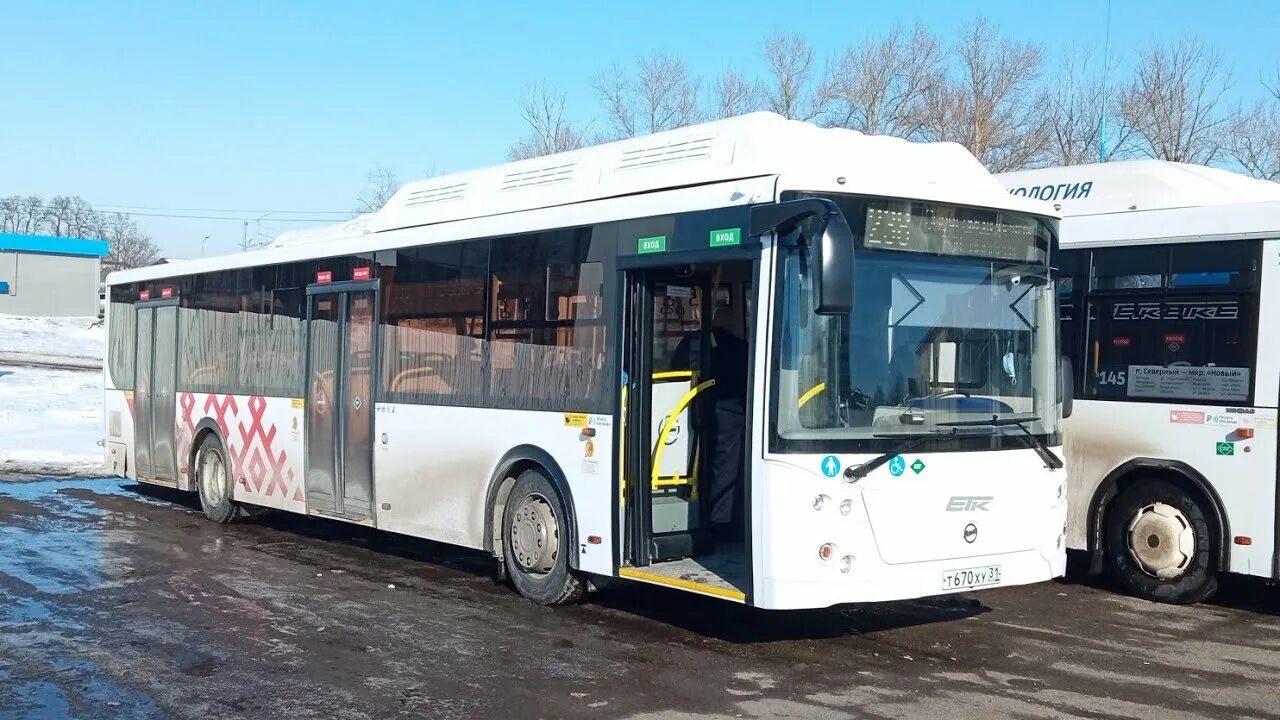 Расписание автобусов маршрут 238. Автобусный маршрут 238 москва.