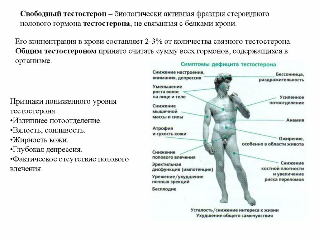 Повышенный тестерон у мужчин. Тестостерон. Гормоны половых тестостерон. Тестостерон стероидный гормон. Тестостерон биологически активный.