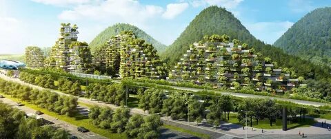 City forest