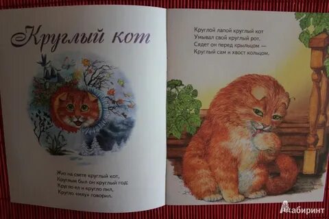 Кот издание