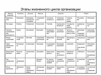 Характеристика основных этапов жизненного цикла