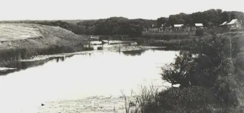 Уровень реки медведица