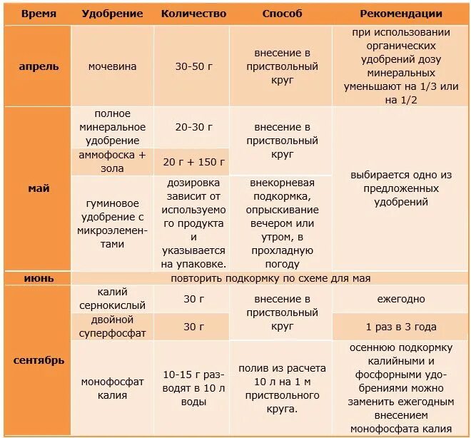 Схема удобрения яблонь. Схема подкормок яблонь. Схема удобрения плодовых деревьев. Схема подкормки персика.