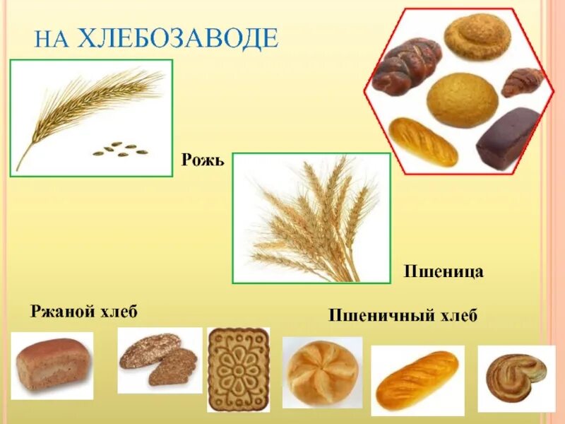 Хлебобулочные изделия для детей. Хлебобулочные изделия для дошкольников. Хлеб для дошкольников. Хлебобулочные изделия картинки для детей.