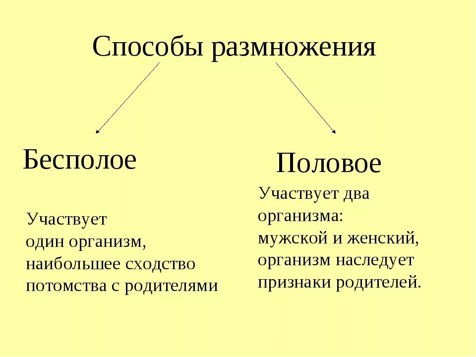 Назовите тип размножения