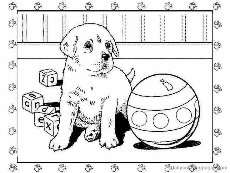 Dog Coloring Pages For Boys from Dogs Coloring Pages For Kids. Dogs are mammals 