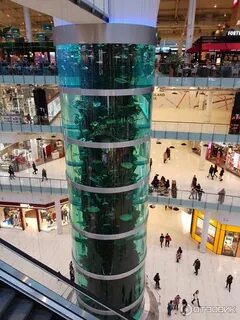 Авиапарк парковка