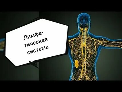 Видео лимфатического массажа