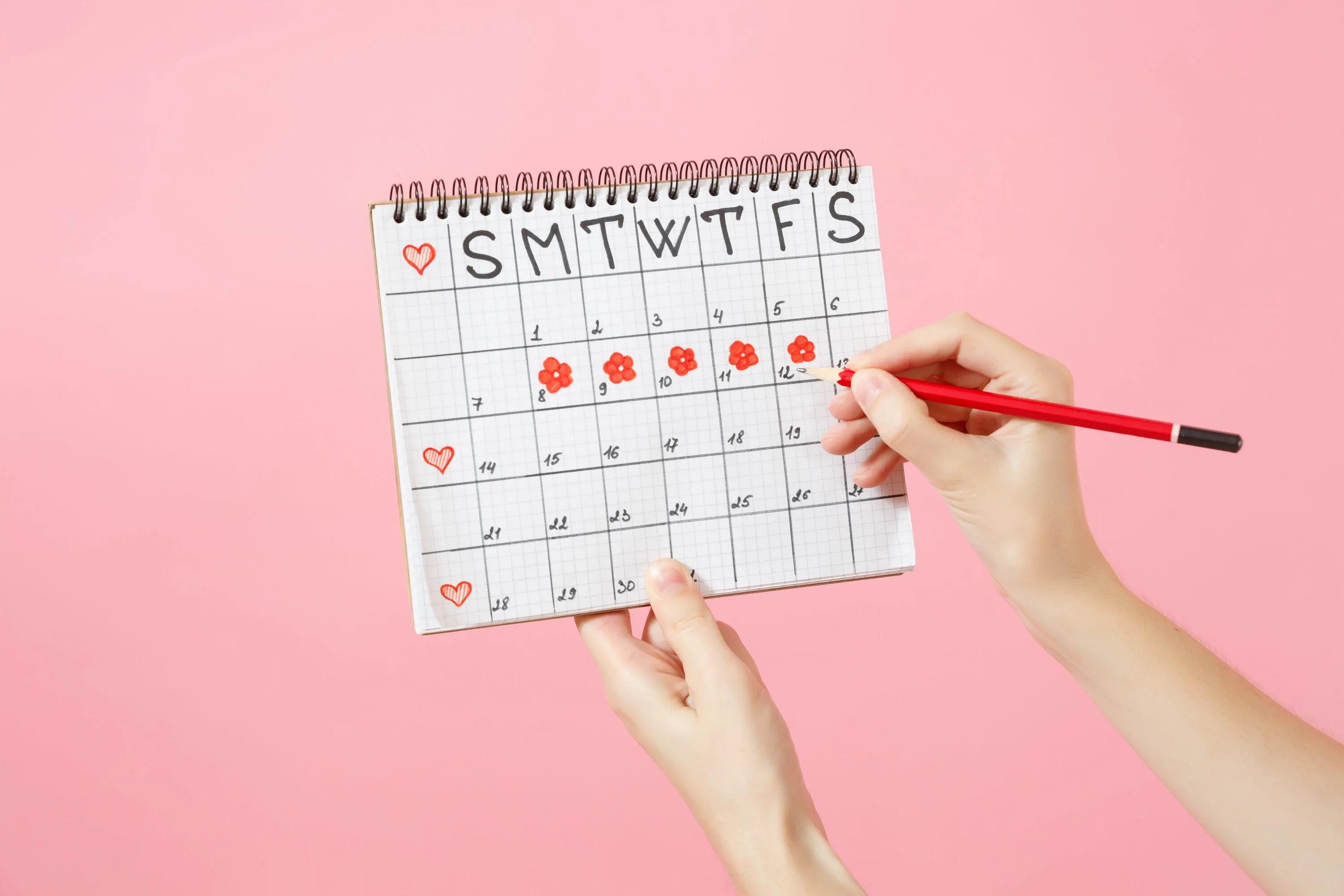Calendar net