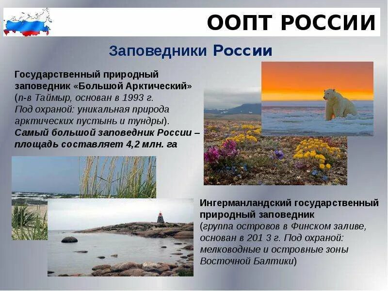 Зона арктических пустынь охрана природы. Большой арктический заповедник карта зон. Охраняемые зоны в арктике. Оопт арктики. Охраняемые зоны в арктике.