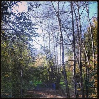 Балашиха ул маяковского индекс