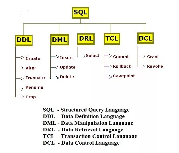 Ddl это. DML SQL команды. Структура команд SQL. DDL команды SQL. DML запросы SQL.