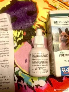 Ветелакт