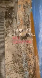 Атаковали нижегородскую область
