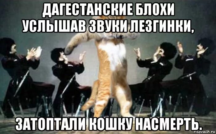 цитаты про орла. сам полечу сам доберусь сам выживу лезгинка. цитаты из песен мияги. сам полечу сам доберусь сам выживу лезгинка. мияги печаль.