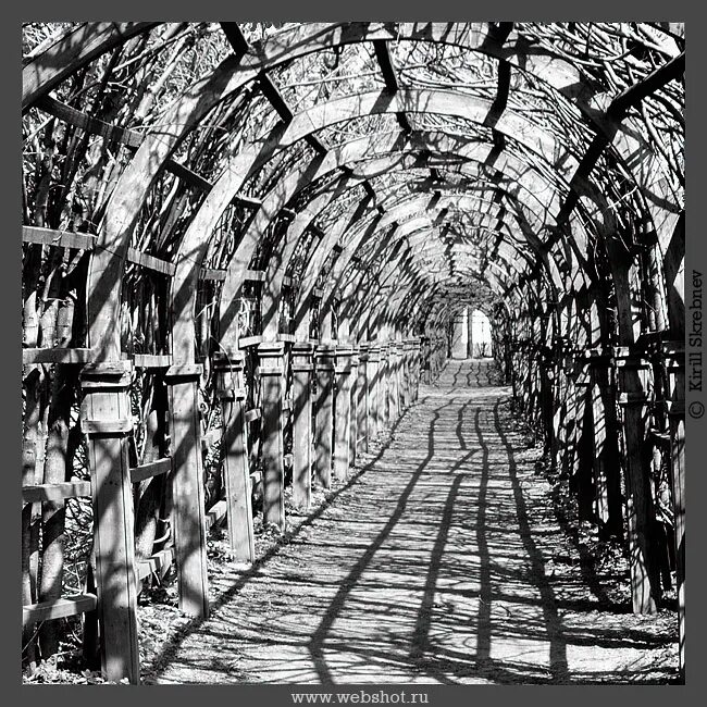 Герои крайних рубежей 2: тернистый путь вниз. Герои крайних рубежей 2: тернистый путь вниз. Дем михайлов тернистый путь вниз. Один в один. Слушать цикл тернистый путь.