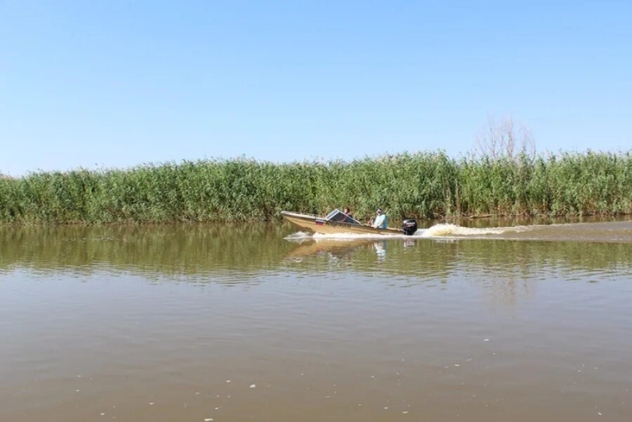 Природа на раскатах в астраханской области. Кучер что то покрикивавший соскакивающий на раскатах. Кучер что то покрикивавший соскакивающий на раскатах. Раскаты волги астрахань. Дельта волги протоки.