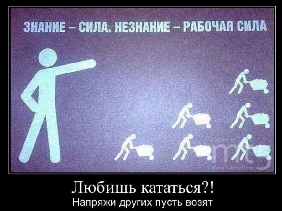 Умный человек. Экономическая концепция хайека. Энциклопедия за второй класс. Знания рассеяны. Рассеянность внимания.
