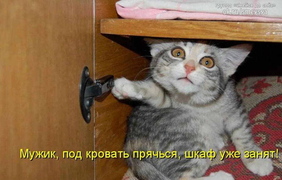 Тут все просто
