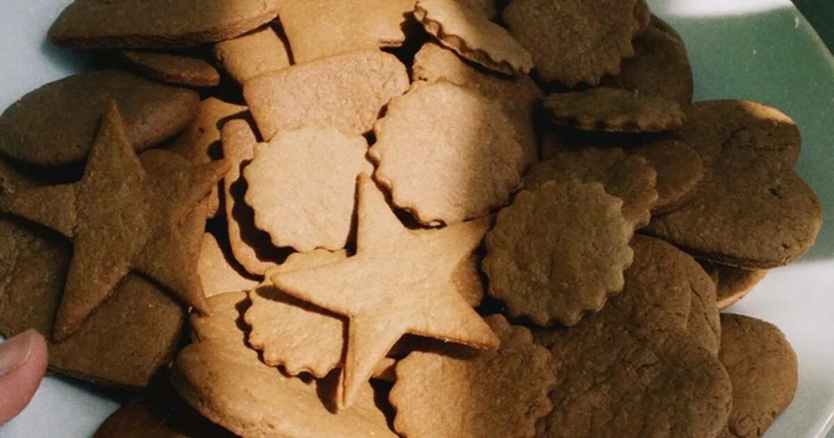 печенье с шоколадом. печенье шоколадное домашнее с какао. печенье брауни ермолино. магнолия печенья брауни. шоколадное овсяное печенье без сахара.