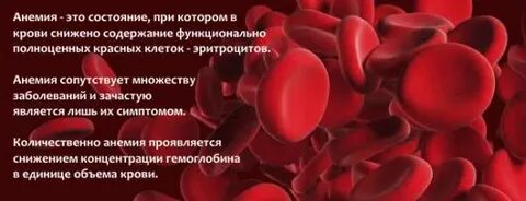 1 признаки низкого гемоглобина
