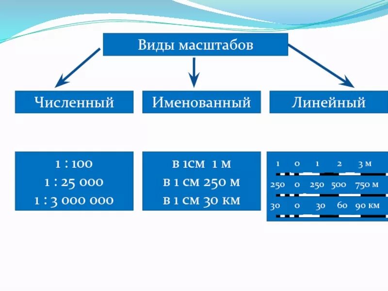 Виды масштабов примеры. Виды масштаба. Масштаб виды масштабов. Какие виды масштаба существуют.