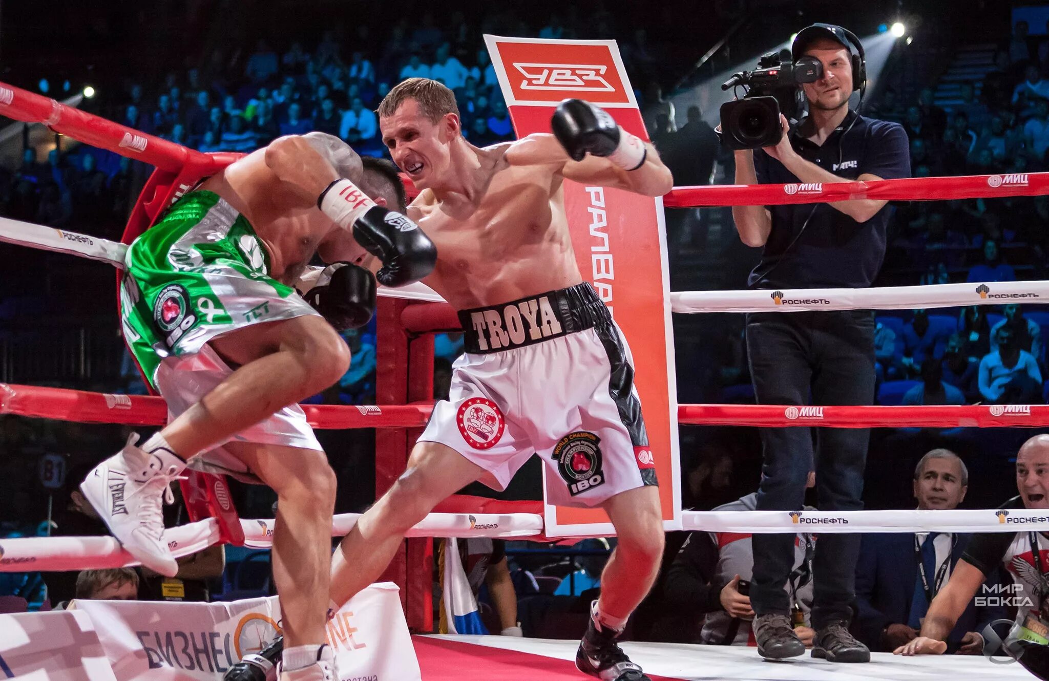 Трояновский боксер. Трояновский боксер Орел. Star boxing много