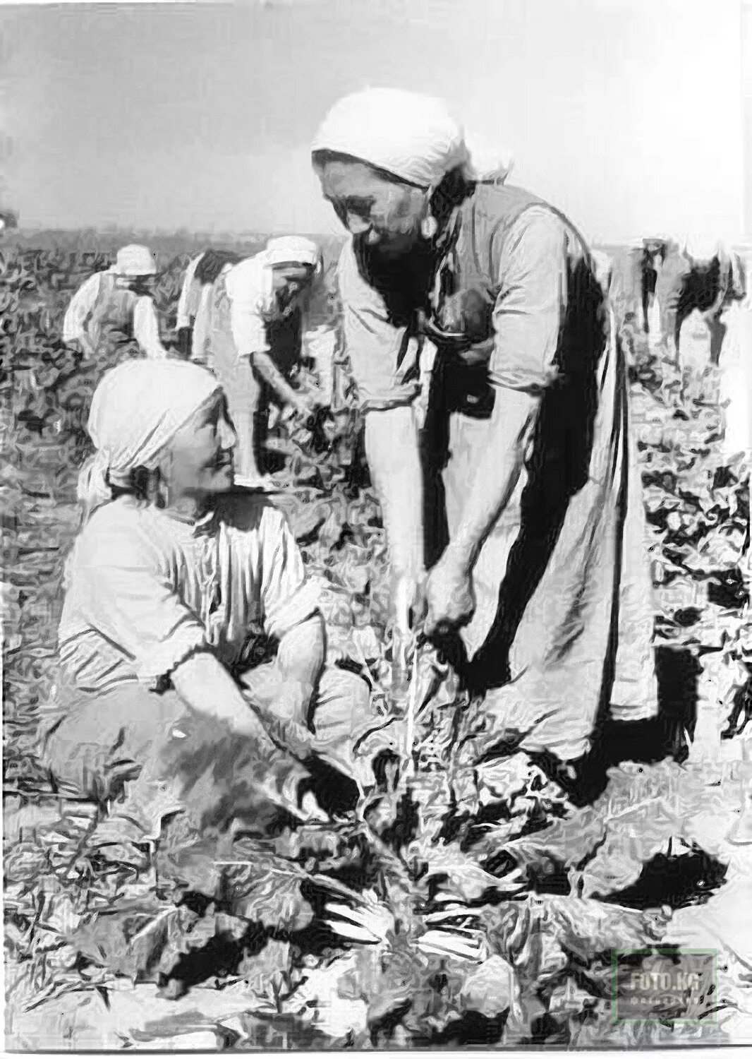 Узбекистан в годы войны 1941-1945. Хозяйство Таджикистан в годы Великой Отечественной войны 1941-1945. Сельское хозяйство Кыргызстана в годы Великой Отечественной войны. Сельское хозяйство Казахстана в годы Великой Отечественной войны. Сельское хозяйство в послевоенное время