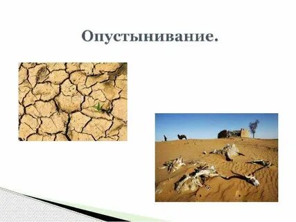 Арктическое опустынивание это